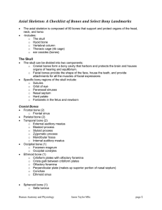 File - WKC Anatomy and Physiology