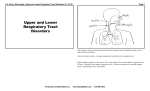 Upper and Lower Respiratory Tract Disorders