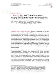 CT Angiography and 18F-FDG-PET Fusion Imaging for Prosthetic