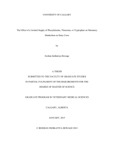 The Effect of a Limited Supply of Phenylalanine, Threonine, or