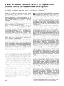 A Role for Tumor Necrosis Factor- in Experimental Bacillus cereus