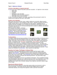 View as Printable PDF