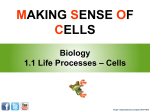 Cells - Life Learning Cloud