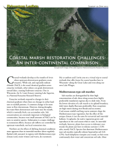 Coastal marsh restoration challenges: An inter