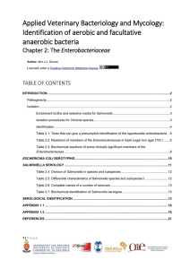 Chapter 2: The Enterobacteriaceae