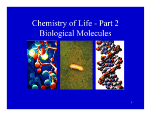 Chemistry of Life - Part 2 Biological Molecules