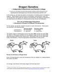 Dragon Genetics - Chester Upland School District