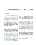 introduction to polyomaviruses