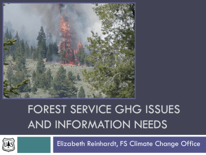 Forest Service needs for GHG modeling