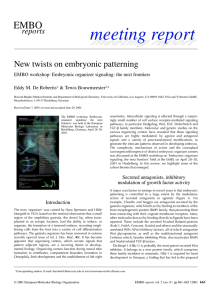 New twists on embryonic patterning