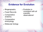 Evidence and Phylogeny