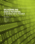 DELIvERING bIG DATA`S POTENTIAL: A MARKETER`S