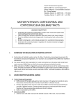 motor pathways i-iii