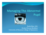 Managing the Abnormal Pupil Lecture