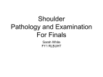 Shoulder Pathology and Examination For Finals