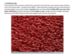 1. Red Blood Cells