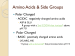 Amino Acids 2
