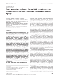 Does premature aging of the mtDNA mutator mouse prove that