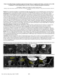 Penile Arterial Blood Supply: Gadolinium-Enhanced