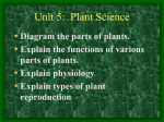 plant parts - Petal School District