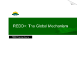 REDD+ Mechanism_Overview