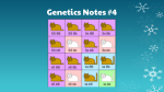 Genetics Notes #4