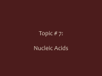 Topic # 7: Nucleic Acids