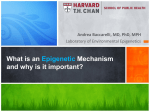 What is an Epigenetic Mechanism and why is it