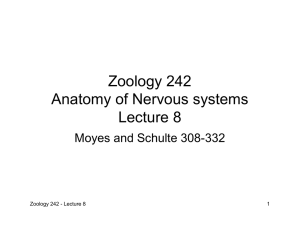 Zoology 242 Anatomy of Nervous systems Lecture 8