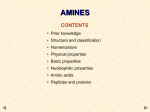 Amines / amino acids and proteins