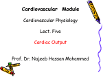 Cardiac output
