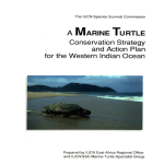 Marine Turtle Conservation Strategy and Action Plan for the Western