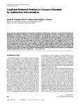 Localized Maternal Proteins in Xenopus