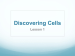 Discovering Cells - Lyndhurst Schools