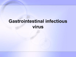 Gastrointestinal infectious virus