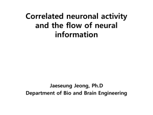 Correlated neuronal activity and the flow of neural information