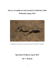 Survey of reptiles in and around St. Katherine, Sinai Peninsula