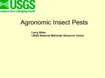 Agronomic Insect Pests - la