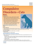 compulsive_disorders-cats