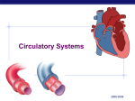 Circulation - Biology Junction