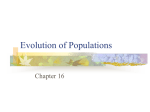 Evolution_of_Populations2012