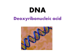 DNA,Rep,RNA,Trans pp