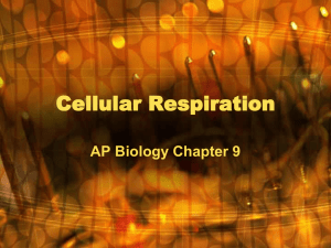 AP Biology Chapter 9.2016