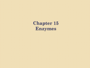 Chapter 15 Enzymes