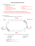 Gen Bio Midterm Review SG KEY 2015