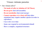 Viruses - Arkansas State University