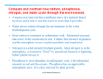 Compare and contrast how carbon, phosphorus