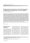Evolutionary perspectives from development of mesodermal