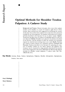 Optimal Methods for Shoulder Tendon Palpation: A