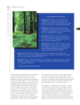 Chapter 7. Carbon Cycle